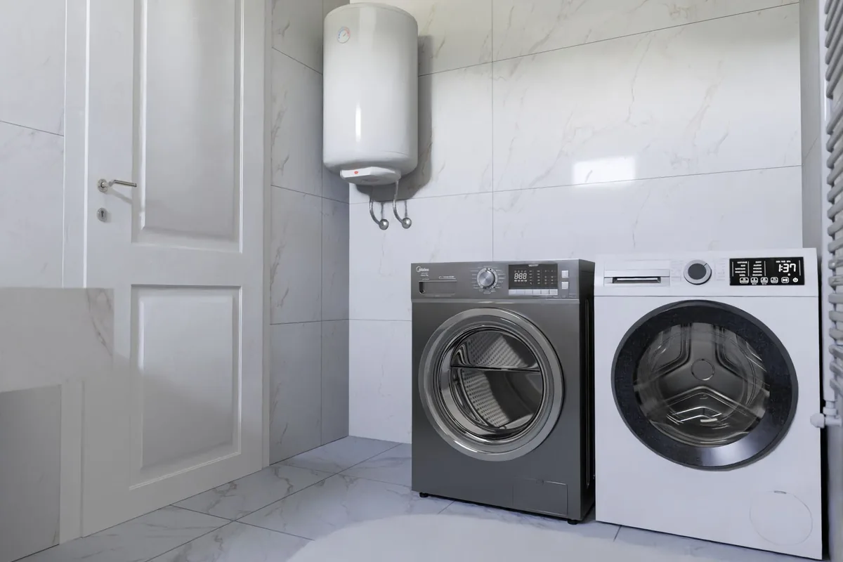 Bird & Bat Guano Cleanup in Kingsburg, CA